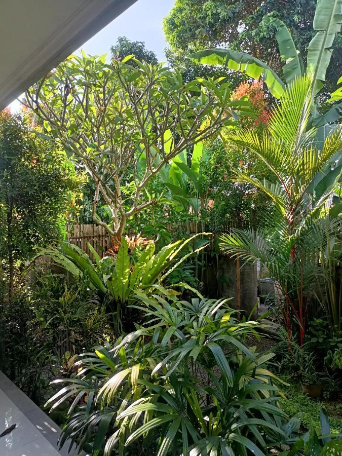 Diary Home Stay Ubud  Luaran gambar